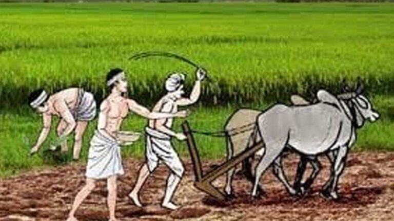 सिवनी: खबर किसानों के लिए, रबी फसलों की बोनी प्रारंभ; उर्वरक के विकल्पों का उपयोग करे कृषक