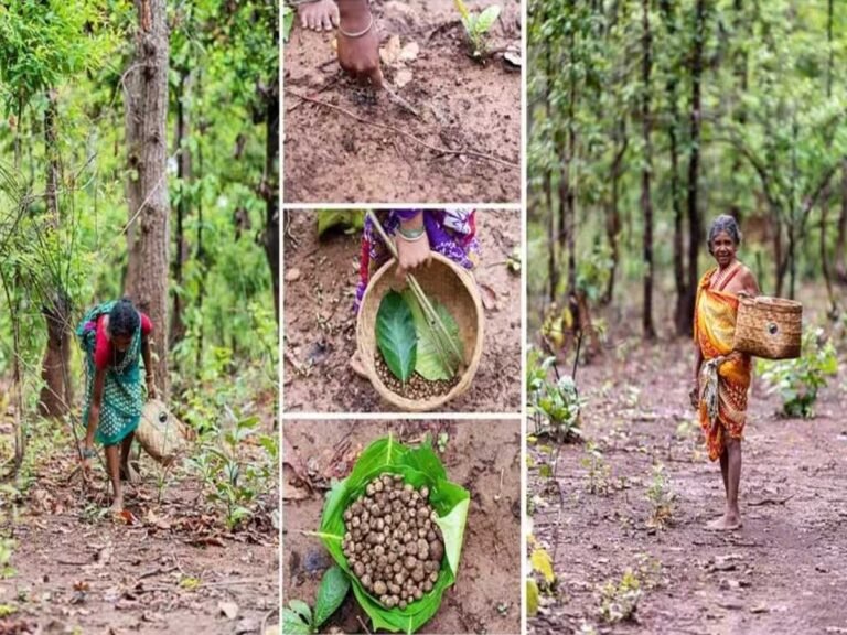 BHARAT की सबसे महंगी सब्जी कौन सी है? यहां क्लिक करने से पहले कितनी भी कोशिश करो जवाब नहीं दे पाओगे