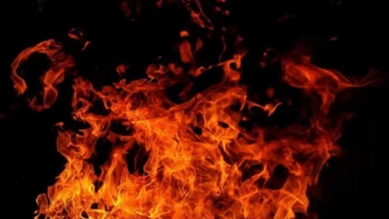 MP NEWS: रतलाम में पारिवारिक कलह, जीजा-साले ने जिंदा महिला को किया आग के हवाले