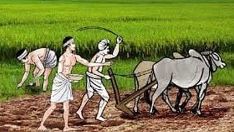 सिवनी जिले के किसानों के लिए खुशखबरी: संजय सरोवर परियोजना से किसानों को मिलेगा सिंचाई के लिए पानी