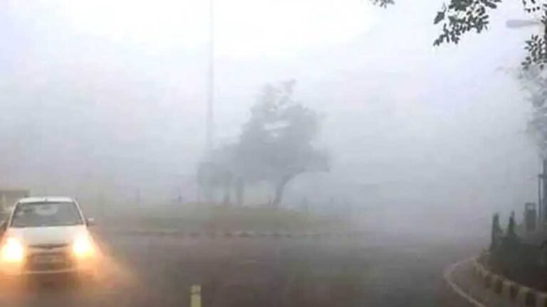 MP WEATHER: बढ़ने लगा शीत लहर का प्रकोप, बचाव हेतु एमपी सरकार ने जारी की एडवायजरी