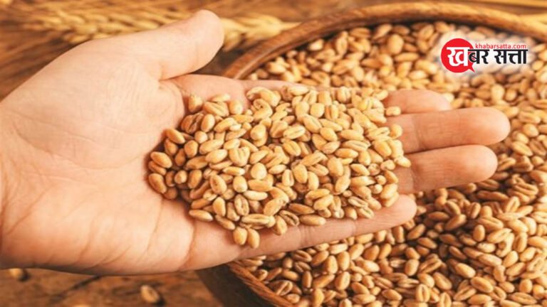 सिवनी: गेहूं उपार्जन केन्द्रों का आवंटन चर्चाओं में, धान हेराफेरी मामले में चर्चित समूह को मिला गेहू उपार्जन का कार्य