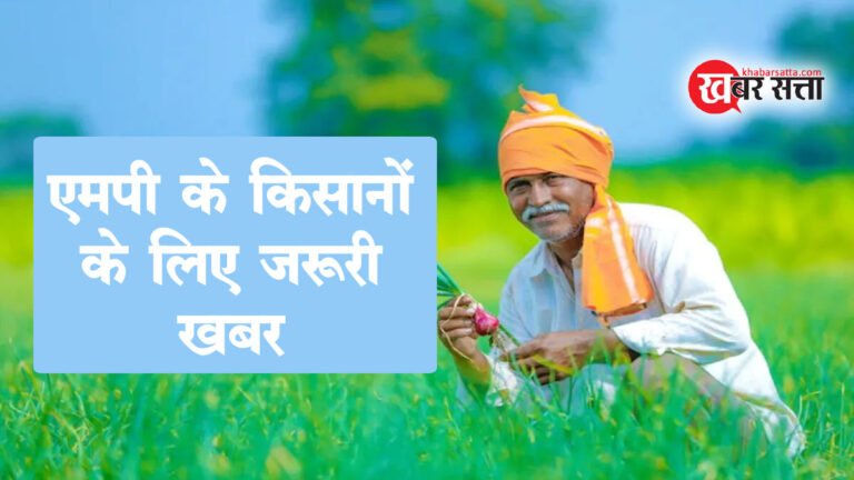 सिवनी: किसानों के लिए जरूरी खबर, 31 जुलाई तक कराएं खरीफ फसलों का बीमा; वरना पछताना पड़ सकता है!