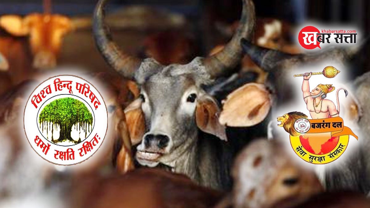 VHP BAJRANG DAL SEONI