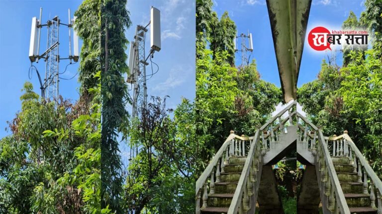सिवनी: शोभा की सुपारी बने BSNL टावर, क्योंकि यह सरकारी है! भारत में सरकारी चीजों का यही होता है हाल?