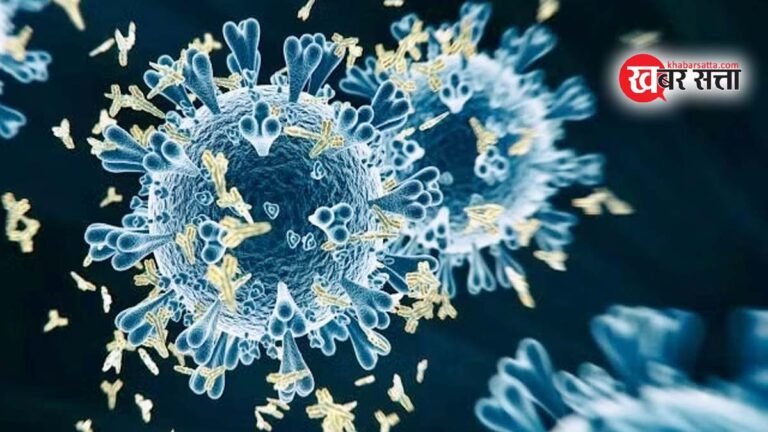 Chandipura Virus: गुजरात में चांदीपुरा वायरस से पहली मौत, NIV ने की पुष्टि; MP और राजस्थान समेत अन्य राज्यों में 14 संदिग्ध मौत