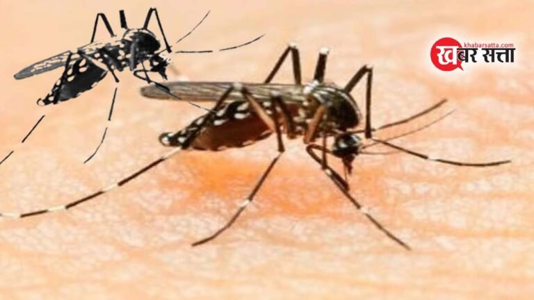 Indore Dengue News: इंदौर में लगातार पाँव पसार रहा डेंगू, 8 नए मामले, मृतकों की संख्या 113 हुई