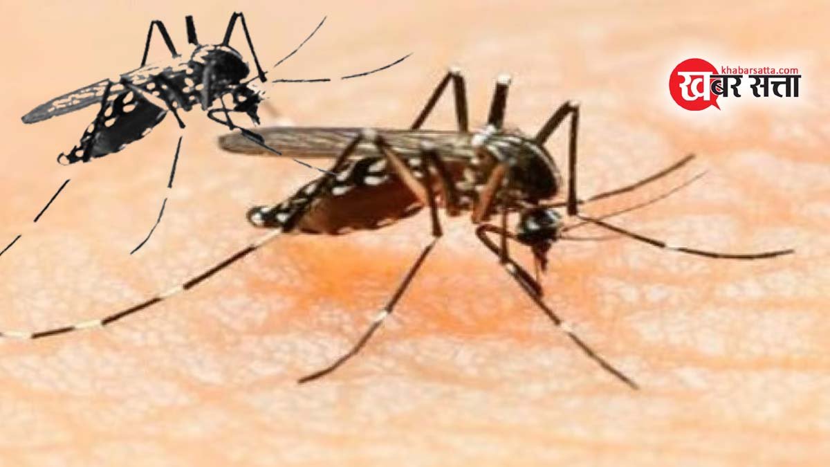 Indore Dengue News