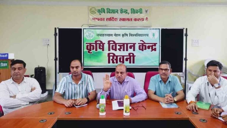नैनो उर्वरकर: फसल के पोषण और खाद्य सुरक्षा में सुधार के लिए एक टिकाऊ प्रौद्योगिकी