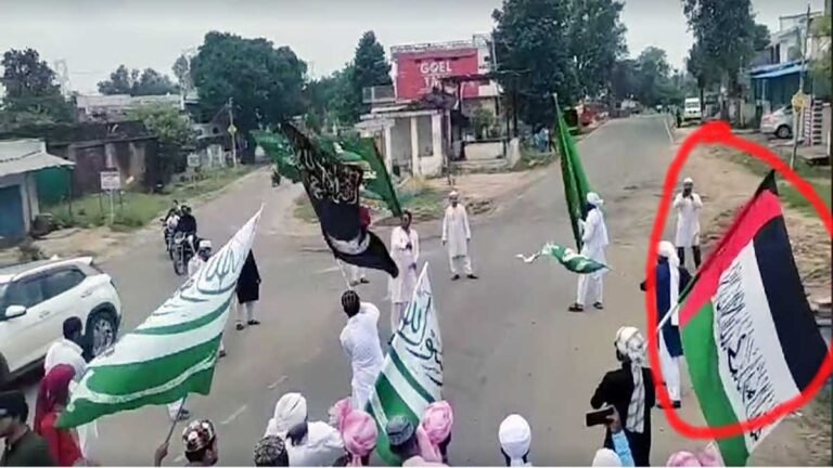 MANDLA NEWS: मध्य प्रदेश के मंडला में ईद-मिलाद-उल-नबी के जुलूस के दौरान लहराया फिलिस्तीनी झंडा; VIDEO VIRAL
