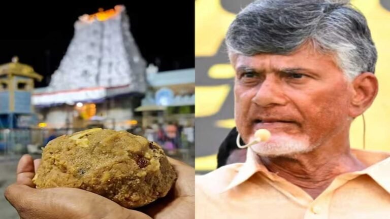 TIRUPATI LADDU: तिरुमाला तिरुपति मंदिर लड्डू प्रसाद में जानवरों की चर्बी और मछली का तेल, लैब रिपोर्ट में पुष्टि!