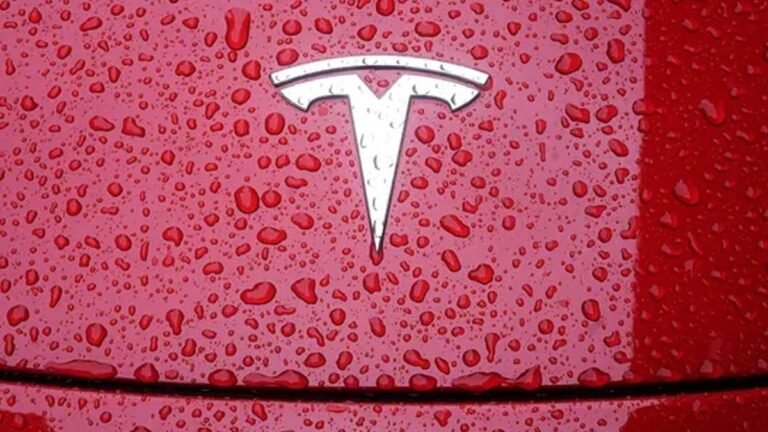 Tesla Car Accident: टेस्ला कार का भयानक एक्सीडेंट, हादसे के बाद कार में लगी आग; चार लोगों की मौत