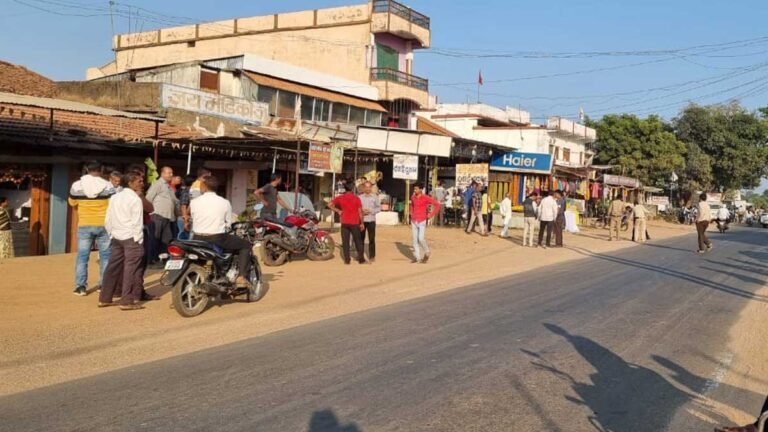 सिवनी कलेक्टर की बड़ी कार्यवाही: बरघाट के धारनाकला में अतिक्रमण हुआ चिन्हित