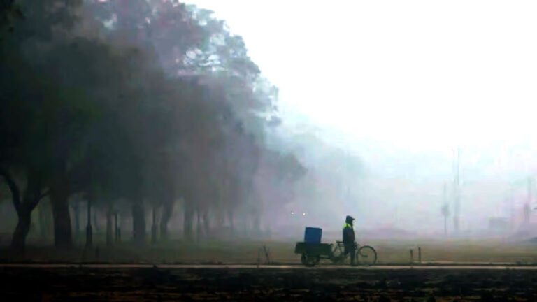 MP WEATHER: मध्य प्रदेश में कोहरे और कड़ाके की ठंड ने बनाया जीवन मुश्किल, अगले 22 दिनों तक शीतलहर का रहेगा प्रकोप