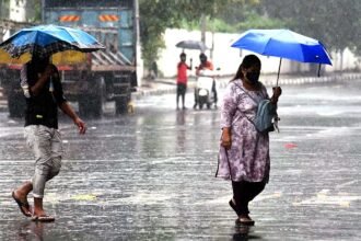 MP OLA VRASHTI ALERT