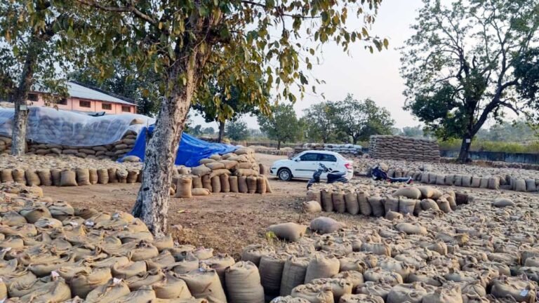 सिवनी: कस्टम मिलिंग गडबडी की जांच में जुटी संयुक्त टीम, आवश्यकता से अधिक धान खरीदी करने वाले केंद्र की भी हो जांच