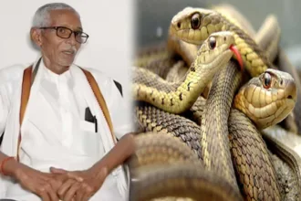 Scam of 11 crore 26 lakh rupees in the name of snakebite in Seoni