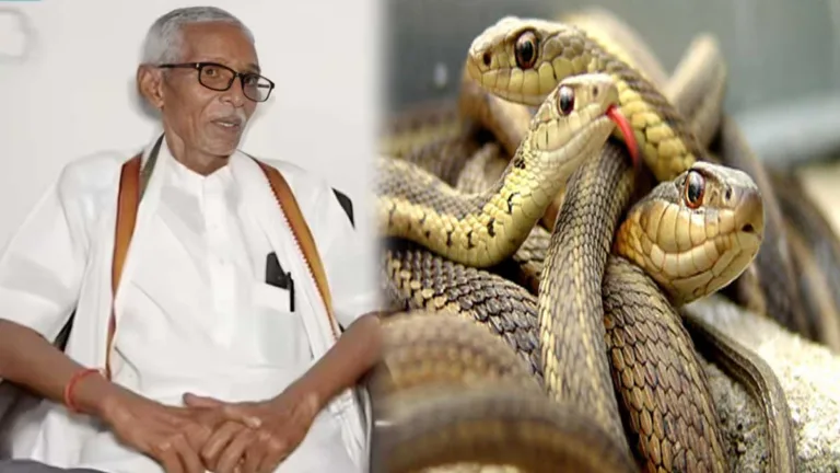 सिवनी में 11 करोड़ 26 लाख का घोटाला: 19 बार सांप के डसने से हो चुकी संतकुमार की मौत; जिन्दा मिले!
