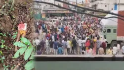 सिवनी: बाघ ने 17 साल के बालक को बनाया शिकार, ग्रामीणों ने NH 44 सड़क कर दी जाम