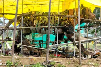 पेंच टाइगर रिजर्व में स्क्रैप मटेरियल से बन रही 16 फीट ऊंची बाघ प्रतिमा, विश्व रिकॉर्ड की ओर अग्रसर