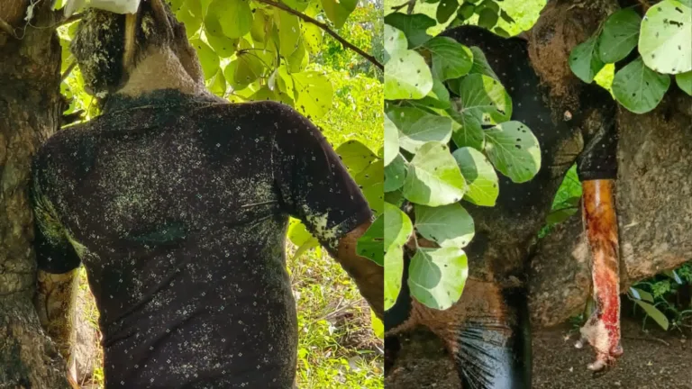 सिवनी: भुरकलखापा के पास मिला रहस्यमयी शव, इलाके में फैली सनसनी – पुलिस जुटी जांच