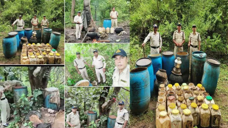 सिवनी में बड़ी कार्रवाई: 20 लीटर हाथ भट्टी मदिरा और 2080 किग्रा महुआ लाहन जब्त
