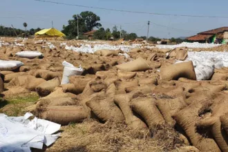 Seoni-Dhan-Kharidi-Kendra