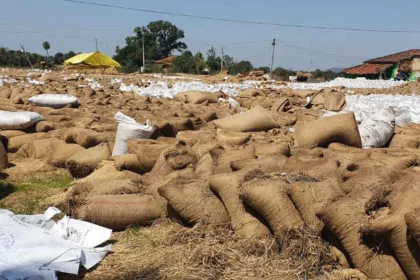 Seoni-Dhan-Kharidi-Kendra