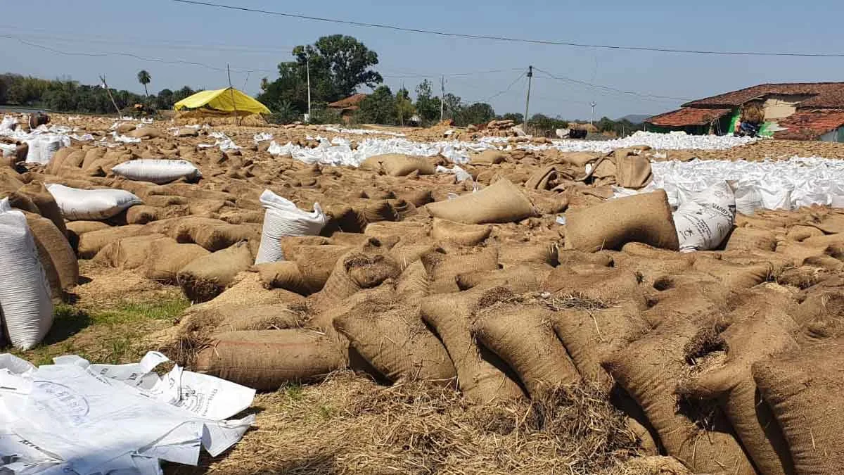 Seoni-Dhan-Kharidi-Kendra