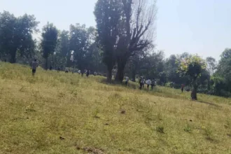 Seoni: A lion enters the fields in broad daylight, causing panic and roaring for hours in the nursery – villagers are terrified.