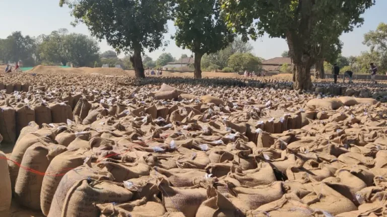 सिवनी: धान खरीदी का काला सच! घर-घर बंट रहीं बोरियां, केन्द्रों पर मजदूर बेरोज़गार-प्रशासन की नाक के नीचे बड़ा खेल