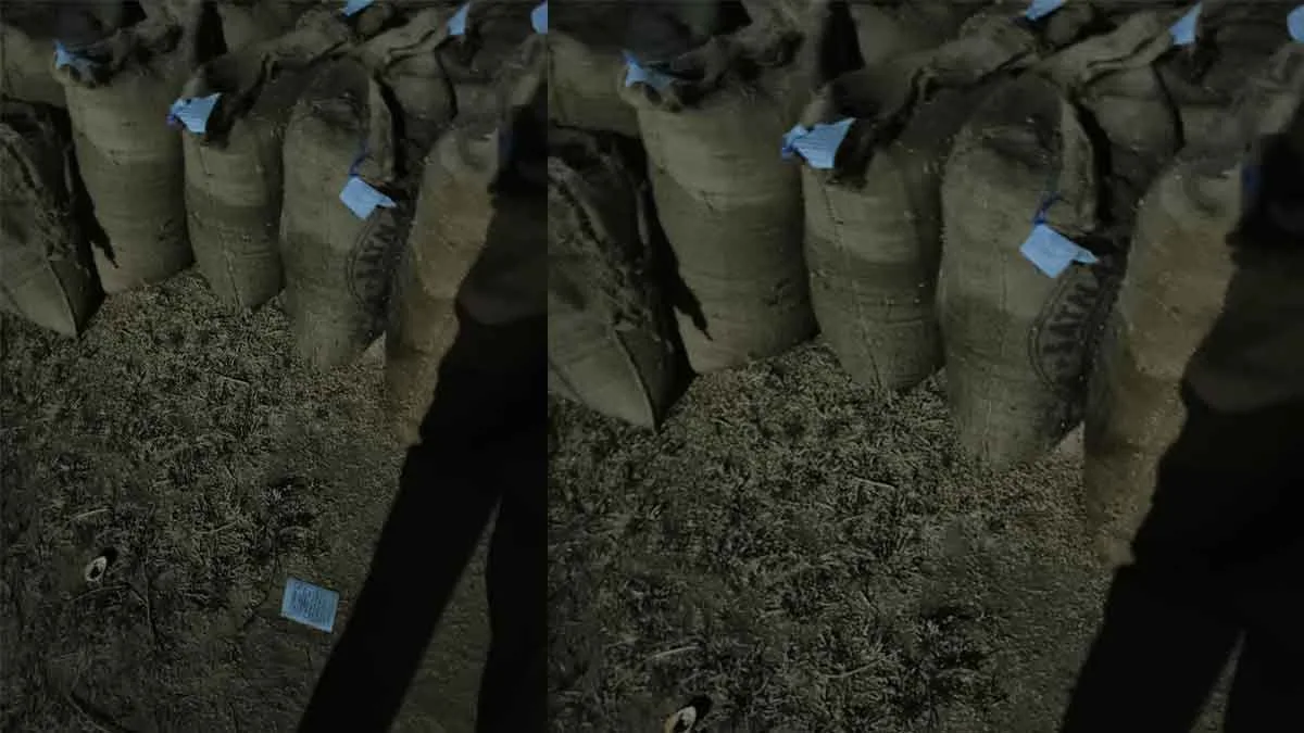 Seoni News Paddy Purchase Scam Exposed