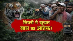 Seoni Barghat Bagh News