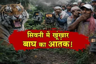 Seoni Barghat Bagh News