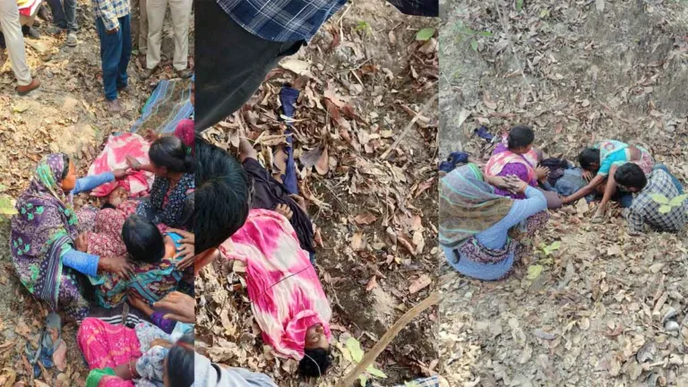 सिवनी के बरघाट में फिर बाघ का हमला! महुआ चुनने गए युवक को बनाया निवाला, इलाके में दहशत का माहौल