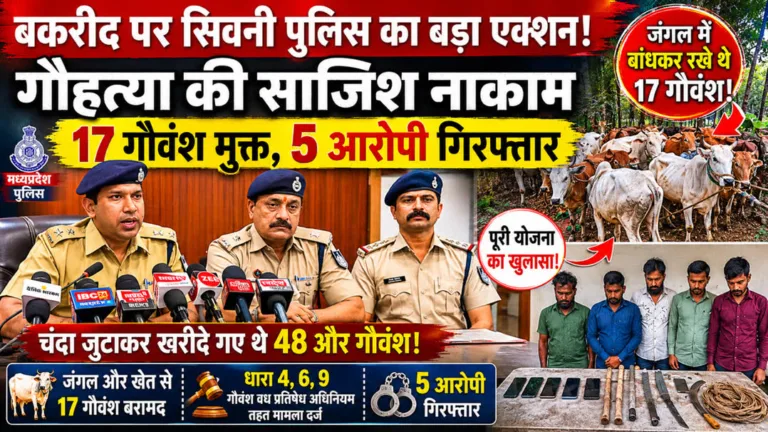 सिवनी में बकरीद पर गौहत्या की कोशिश नाकाम: सिवनी पुलिस ने 17 गौवंश कराए मुक्त, मौलाना समेत 5 आरोपी गिरफ्तार