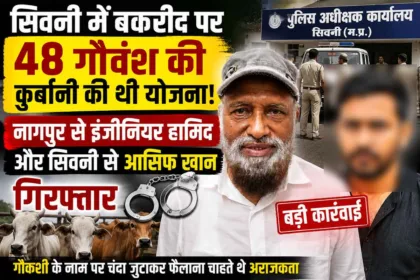 seoni-gau-news