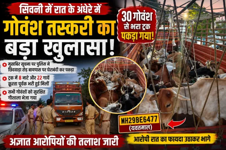सिवनी: रात के अंधेरे में गोवंश तस्करी का बड़ा खुलासा! 30 गोवंश से भरा ट्रक पकड़ा गया, तस्कर मौके से फरार