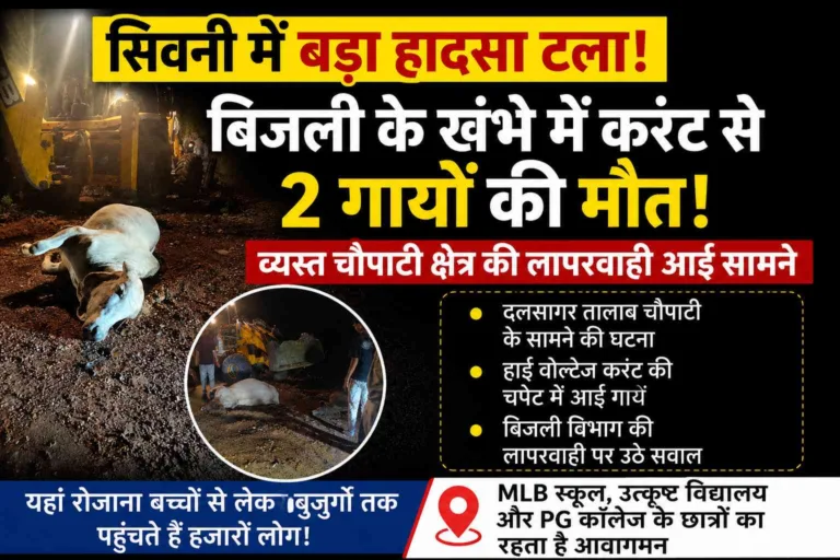 सिवनी: दलसागर चौपाटी के सामने बिजली के खंभे में दौड़ रहा था हाई वोल्टेज करंट, 2 गायों की मौत
