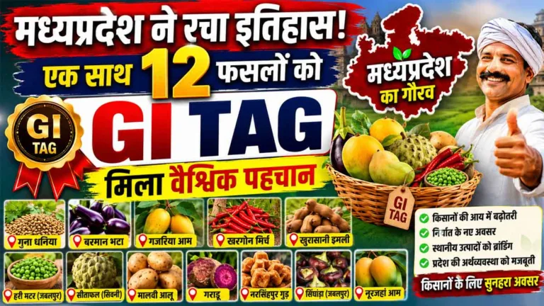 MP ने रचा इतिहास! एक साथ 12 फसलों को मिला GI Tag, अब दुनियाभर में चमकेगा मध्यप्रदेश का स्वाद, किसानों की होगी तगड़ी कमाई