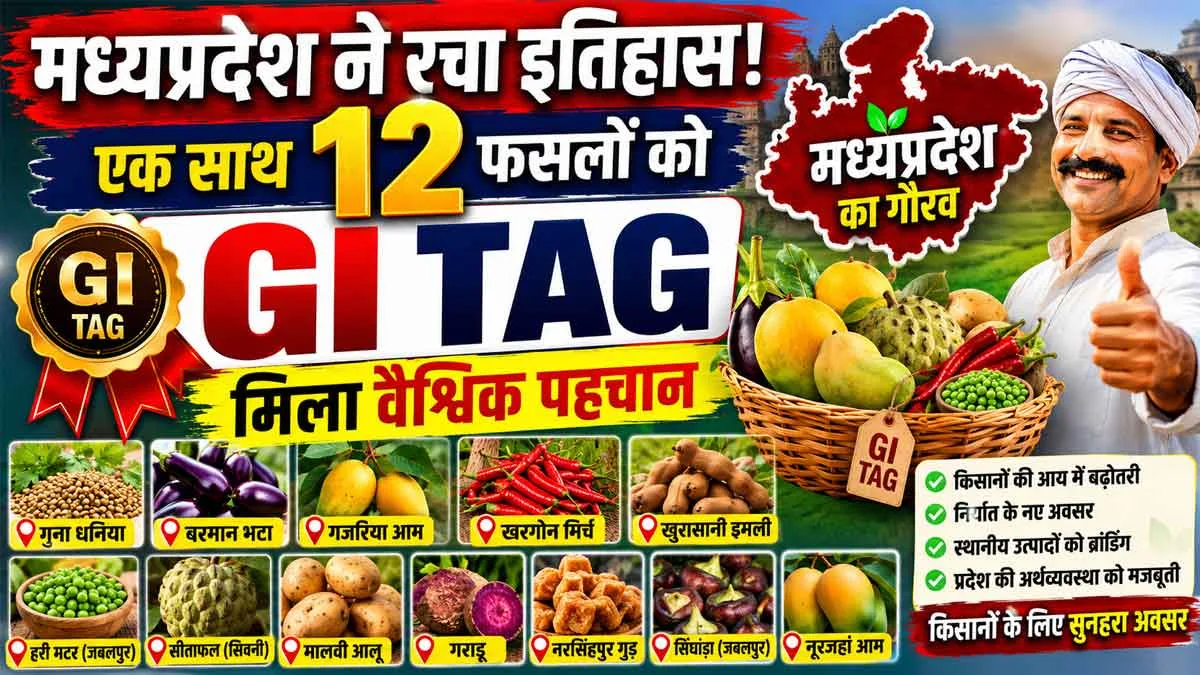 MP GI TAG NEWS