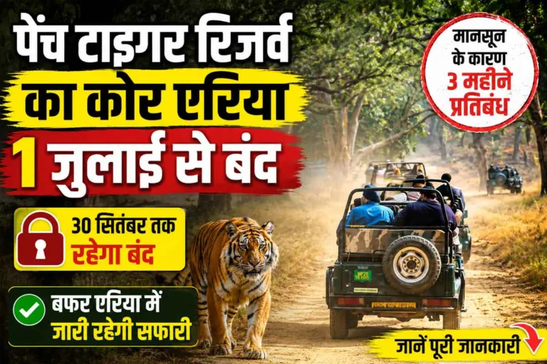 सिवनी: 3 महीने के लिए बंद होगा पेंच टाइगर रिजर्व का कोर एरिया, जानिए क्यों लिया गया बड़ा फैसला, पर्यटकों के लिए क्या रहेगा खुला?
