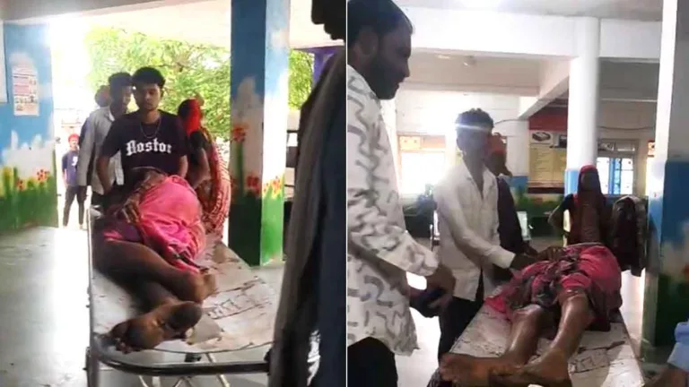 सिवनी में आसमान से बरसी आफत! बकरियां चरा रही महिला पर गिरी आकाशीय बिजली, महिला झुलसी, 2 बकरियों की मौत