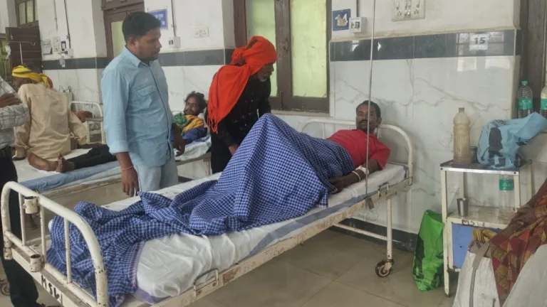 सिवनी में भालू का हमला: जंगल में भैंस चरा रहे चरवाहे को किया घायल, जिला अस्पताल में भर्ती